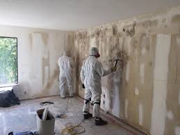 Best Commercial Mold Inspection  in Carle Place, NY